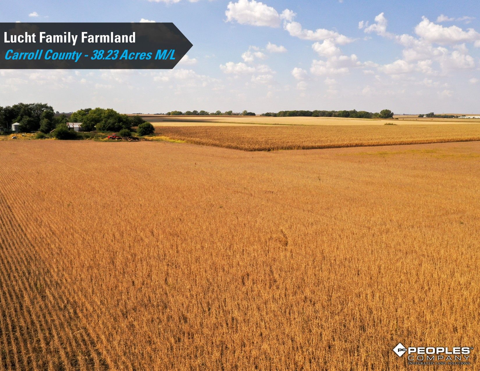 Listing Photo: Lucht-Family-Farmland-Auction-Online-Carroll-County-Iowa-38.23Acres (23)